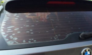 phim-cach-nhiet-o-to-bi-bong-troc